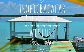 Tropic Bacalar